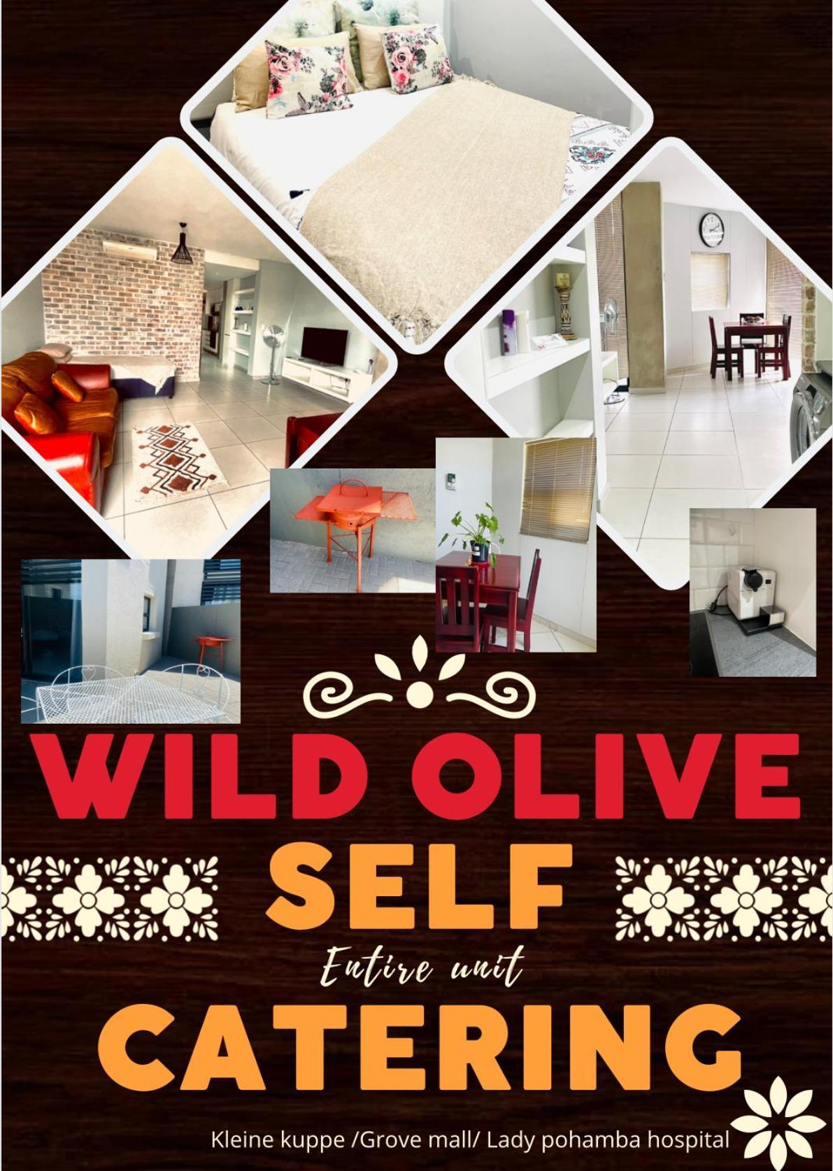 Wild Olive B Apartment Windhoek Exterior photo